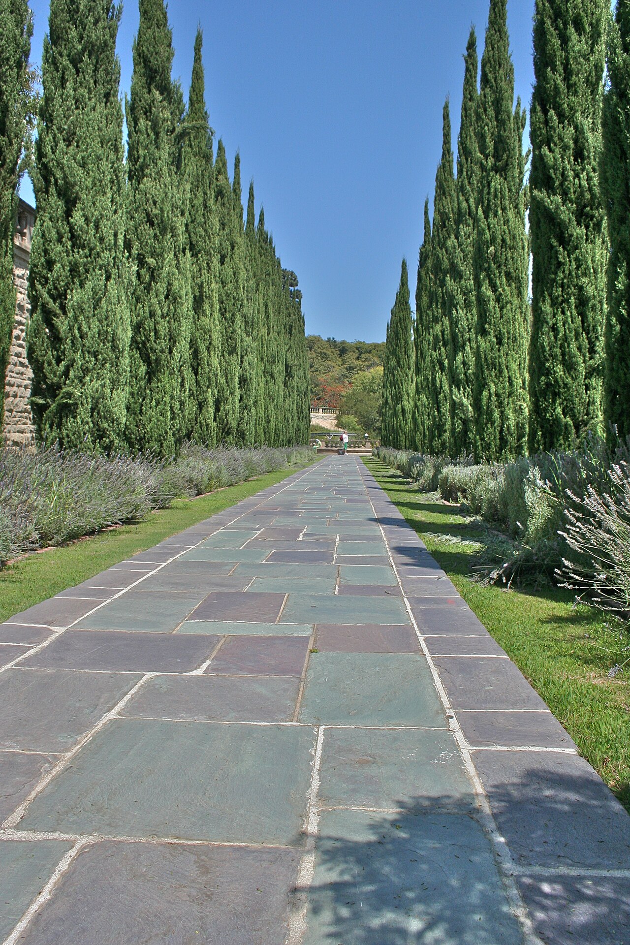 A long cypress-lined garden path at Greystone Mansion in Beverly Hills