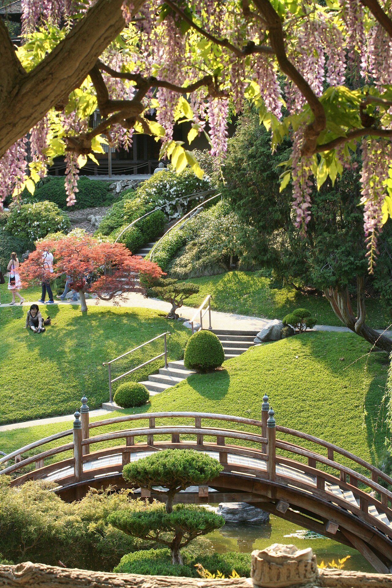 Moon bridge and leafy paths at the Huntington Japanese Garden in San Marino